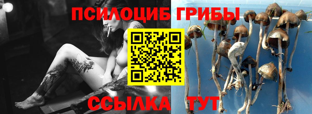 Псилоцибиновые грибы ЛСД  Вход с VPN  Первоуральск 